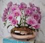 Imagem de Arranjo Com 4 Orquídeas Violeta Vaso Rose 28cm