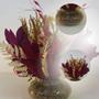 Imagem de  Arranjo Com Flores Desidratadas Para Lavabo Encanto Mix Marsala + Vaso