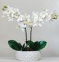 Imagem de Arranjo Com Flores Orquídea Artificial Vaso Cerâmica Jon