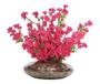 Imagem de Arranjo De Flores de Pessegueiro Pink Artificial e vaso