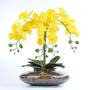 Imagem de Arranjo de Orquídea Artificial Amarela em Terrário Maitê