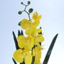 Imagem de Arranjo de Orquídea Artificial Amarela em Terrário Pequeno