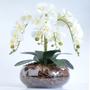 Imagem de Arranjo de Orquídea Artificial Branca 4 Hastes Cascata