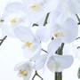 Imagem de Arranjo de Orquídea Artificial Branca em Centro de Mesa Cobre
