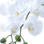 Imagem de Arranjo de Orquídea Artificial Branca em Vaso Dourado Jade