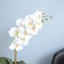 Imagem de Arranjo de Orquídea Artificial Branca no Vaso de Vidro Espelhado Prata