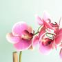 Imagem de Arranjo de Orquídea Artificial Rosa no Vaso Vidro M  Formosinha