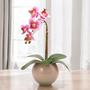Imagem de Arranjo De Orquídea Artificial Silicone Com Vaso Vidro