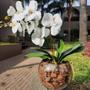 Imagem de Arranjo de Orquídea Branca Artificial 70cm Com Vaso De Vidro 