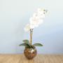 Imagem de Arranjo de Orquídea Branca de Silicone no Vaso Vidro P  Formosinha