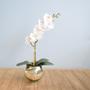 Imagem de Arranjo de Orquídea de Silicone Branca no Vaso Prateado  Formosinha