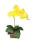 Imagem de Arranjo de Orquídea de Silicone Com Vaso de Madeira