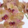 Imagem de Arranjo de Orquídea de Silicone Vaso Rose Gold Cris