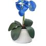 Imagem de Arranjo de Orquídea flor artificial no vaso - Azul