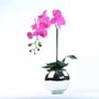 Imagem de Arranjo de Orquídea Pink em Aquário Espelhado Íris