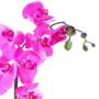 Imagem de Arranjo de Orquídea Pink em Aquário Espelhado Íris