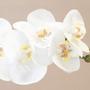 Imagem de Arranjo de Orquídea Silicone Branca no Vaso Dourado  Formosinha