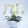 Imagem de Arranjo de Orquídeas Artificiais Brancas em Vaso Branco Fosco
