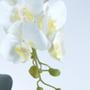 Imagem de Arranjo de Orquídeas Artificiais Brancas em Vaso Branco Fosco