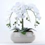 Imagem de Arranjo de Orquídeas Brancas de Silicone em Vaso Nude