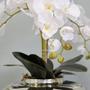 Imagem de Arranjo de Orquídeas Brancas no Vaso Prateado  Formosinha