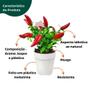 Imagem de Arranjo de Pimenta Artificial com Vaso Cachepot Branco