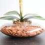 Imagem de Arranjo Duas Orquídeas Artificiais Tigre no Vaso de Vidro  Formosinha