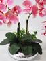 Imagem de Arranjo Flor Orquídeas Artificiais Toque Real No Vaso Montado