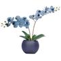 Imagem de Arranjo Flores 2 Orquídeas Azul Toque Real Vaso Preto