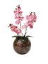 Imagem de Arranjo Flores 2 Orquídeas Rosa Toque Real e Vaso