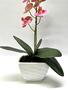 Imagem de Arranjo Flores Mini Orquídea Rosa Pink de Silicone Toque Real Vaso Branco