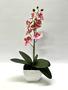 Imagem de Arranjo Flores Mini Orquídea Rosa Pink de Silicone Toque Real Vaso Branco