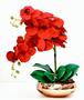 Imagem de Arranjo Flores Orquídeas Artificial Vermelha Com Vaso E51