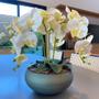 Imagem de Arranjo Grande Centro de Mesa 4 Orquídeas Branca 3d Vaso Verde