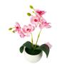 Imagem de Arranjo Mini Orquídea vasinho de plástico melamina redondo