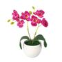 Imagem de Arranjo Mini Orquídea vasinho de plástico melamina redondo