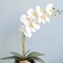 Imagem de Arranjo Orquídea Artificial Branca no Vaso Bronze M Formosinha