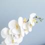 Imagem de Arranjo Orquídea Artificial Branca no Vaso Bronze M Formosinha
