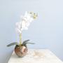 Imagem de Arranjo Orquídea Artificial Branca no Vaso de Vidro P  Formosinha