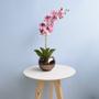 Imagem de Arranjo Orquídea Artificial Rosa no Vaso Bronze M  Formosinha