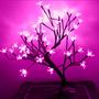 Imagem de Árvore Abajur Cerejeira 48 Leds Pink Bivolt