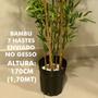 Imagem de Árvore Artificial Bambu 7 Hastes 170cm Planta Permanente no Gesso