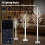 Imagem de Árvore de LED Birch Aoycocr Smart - 18 Modos com Controle de APP (4/5/6 pés)