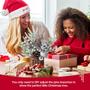 Imagem de Árvore de Natal Artificial Hatisan Small com Ornamentos Prateados