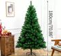 Imagem de Árvore de Natal Dinamarca Verde 1,80 600 Galhos - Fb