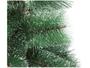 Imagem de Árvore de Natal Nevada 120cm Verde e Branca