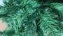 Imagem de Árvore de Natal Pinheiro 2,10 M 210 cm 786 GALHOS Smsc Premium