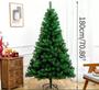Imagem de Árvore de Natal Pinheiro Canadense Grande Cheia Luxo 1,80 600 Galhos - Br