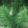 Imagem de Árvore de natal pinheiro cor verde 1,50m 237 galhos a0013