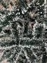 Imagem de Árvore de natal verde musgo ponto branco 1.2 metros /1.50 metros /1.80 metros /2.10 metros